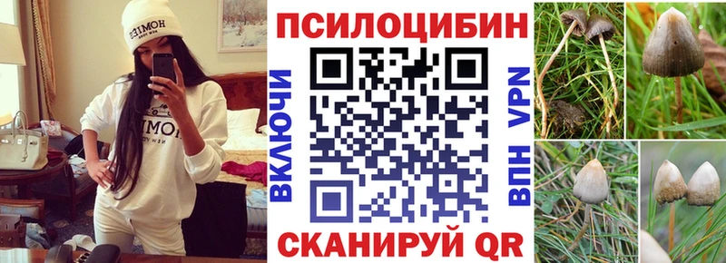 Псилоцибиновые грибы Magic Shrooms  где найти   Афипский 